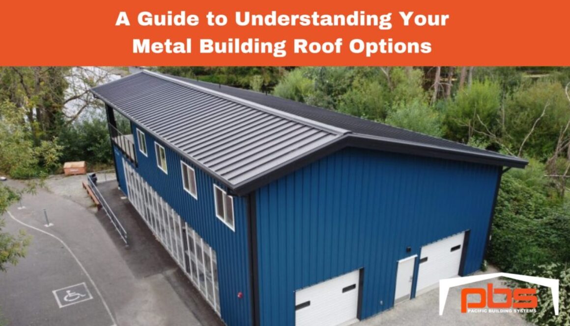 "A Guide to Understanding Your Metal Building Roof Options" above an image of a metal building with a black metal roof